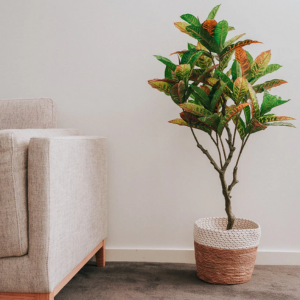 Artificial Plants